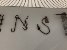 Exposición de Mutantes 2022